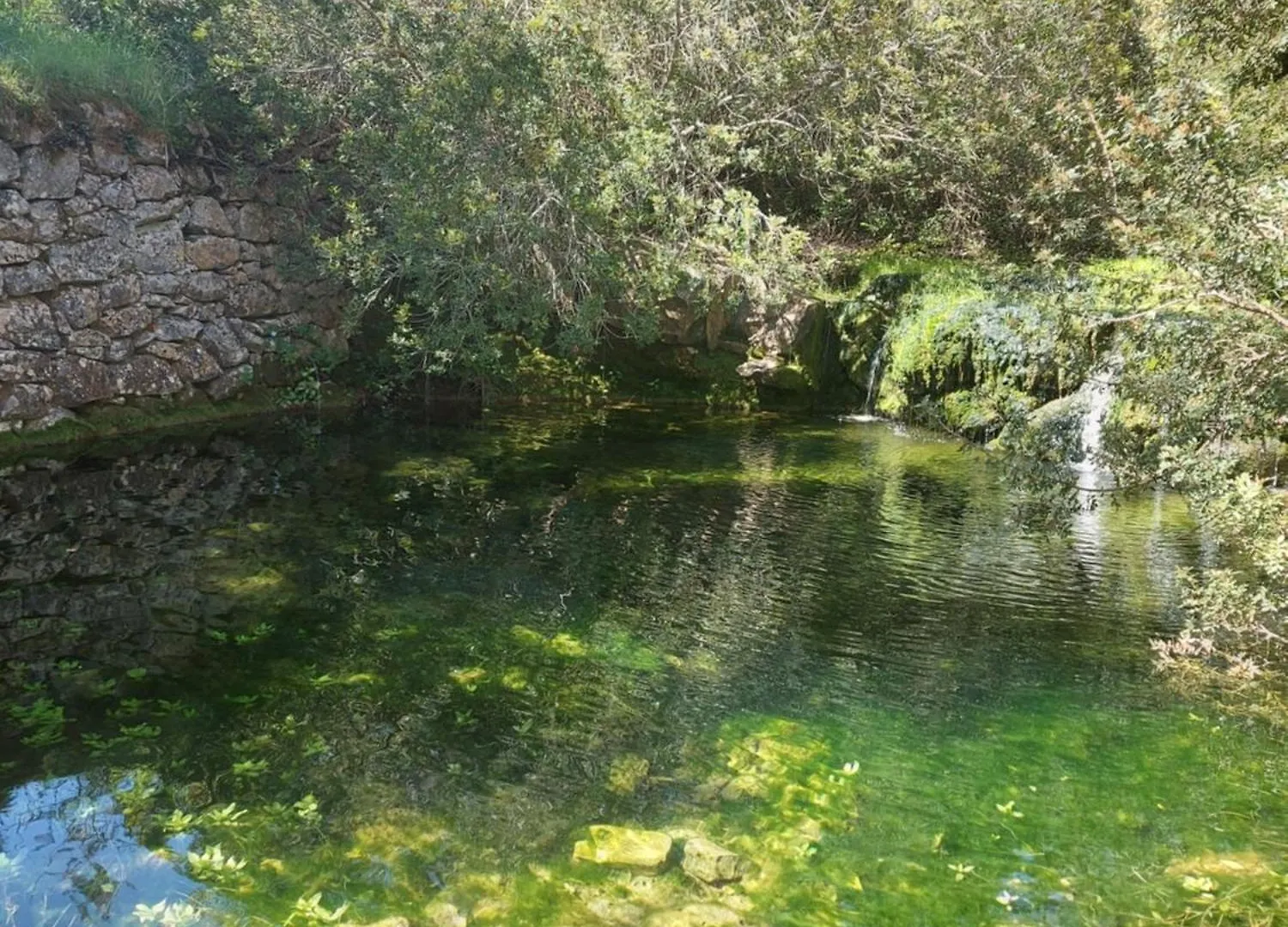 Studio Pacifica Quarteira Portogallo